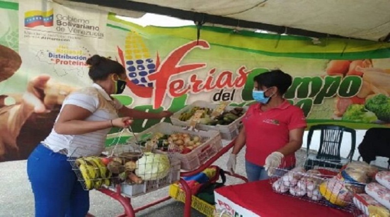 Feria del Campo Soberano beneficia a más de 2.600 familias en Falcón