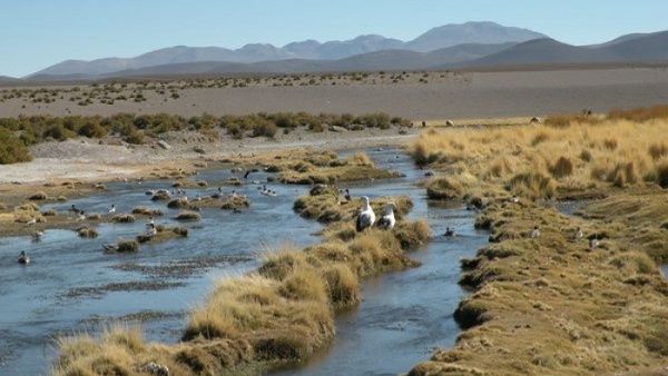CIJ fijó fecha para audiencia entre Chile y Bolivia por río Silala