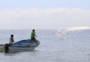 MP prohíbe pesca artesanal de especies marinas venezolanas