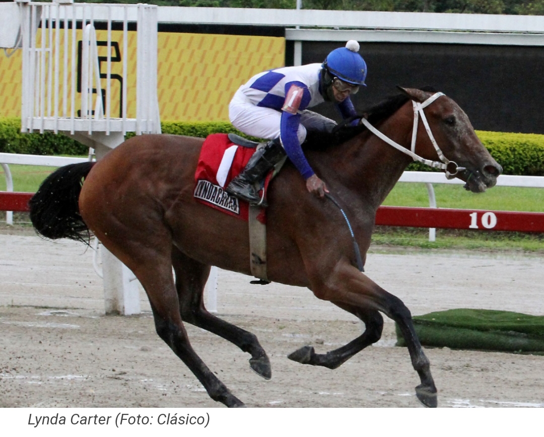 La potranca Lyndacarter ganó la Triple Corona del hipismo en Venezuela