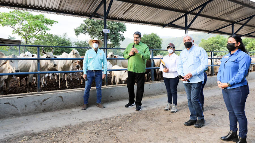 Presidente Maduro: Expertos prevén crecimiento económico de Venezuela entre 5% y 20%