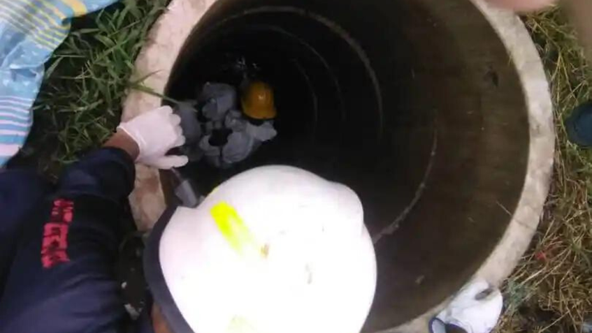 Hermanastro sería el posible asesino de la niña encontrada sin vida en Guacara en un pozo séptico