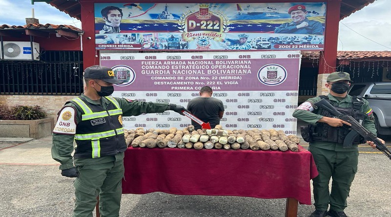 En Mérida efectivos de la Fanb incautan 77 kg de marihuana 