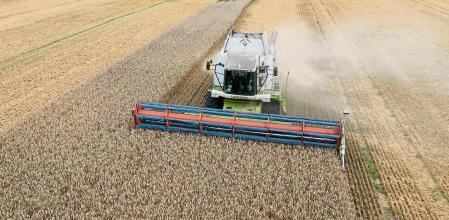 40.000 toneladas de cereal ucraniano serán exportados por la UE