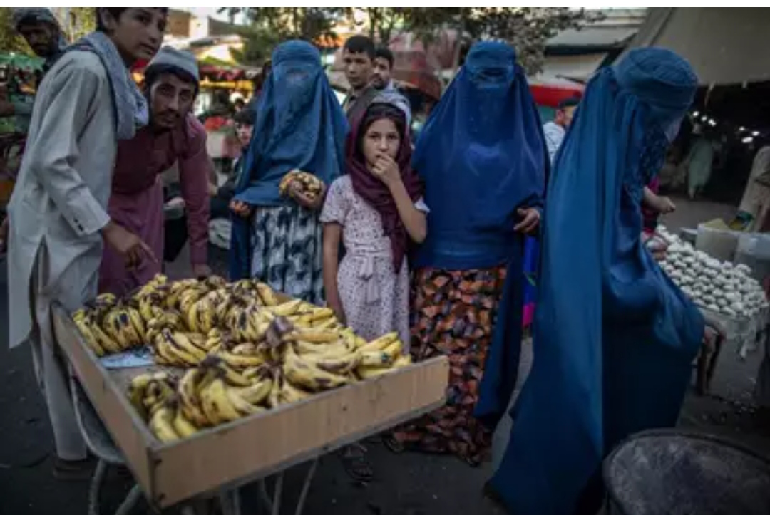 La Eurocámara denunció deterioro de los derechos de las mujeres en Afganistán