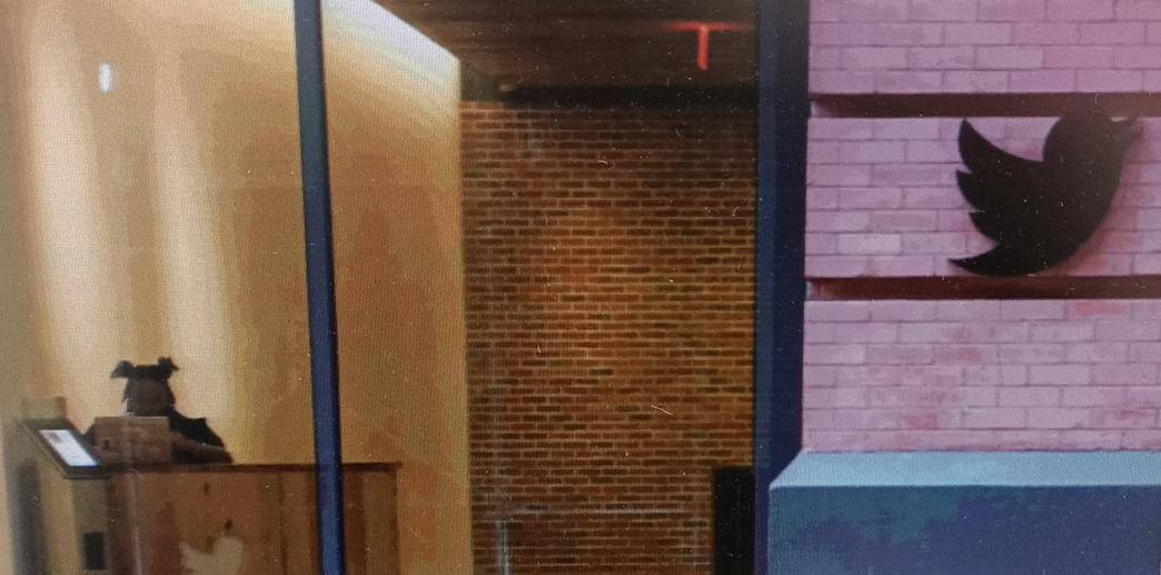 Elon Musk asegura que la Twitter «pierde US$4 millones por día»