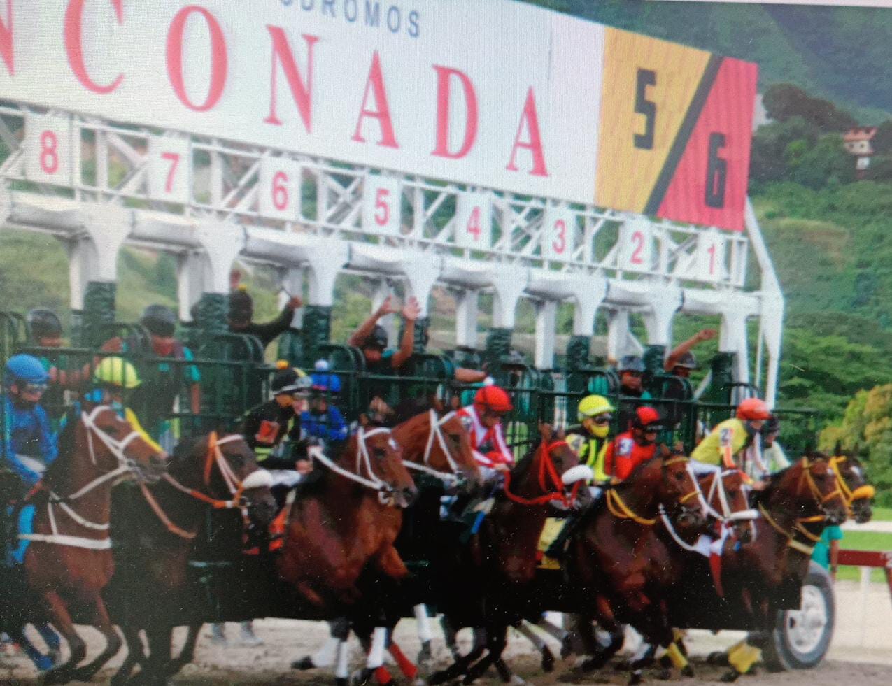 Criollos con su trabuco para la Serie Hípica del Caribe 2022