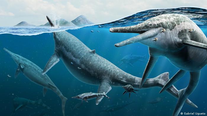 Paleontólogos resuelven el misterioso origen de un cementerio de ictiosaurios