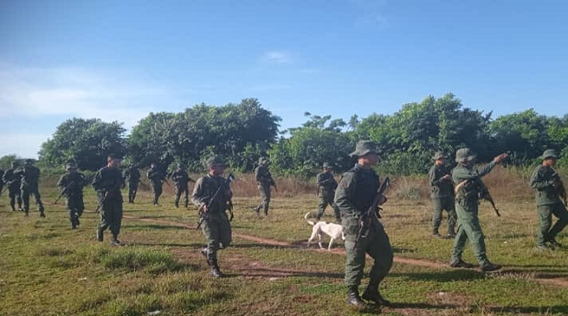 FANB realizó operativos contra minería ilegal y robo de ganado en el país