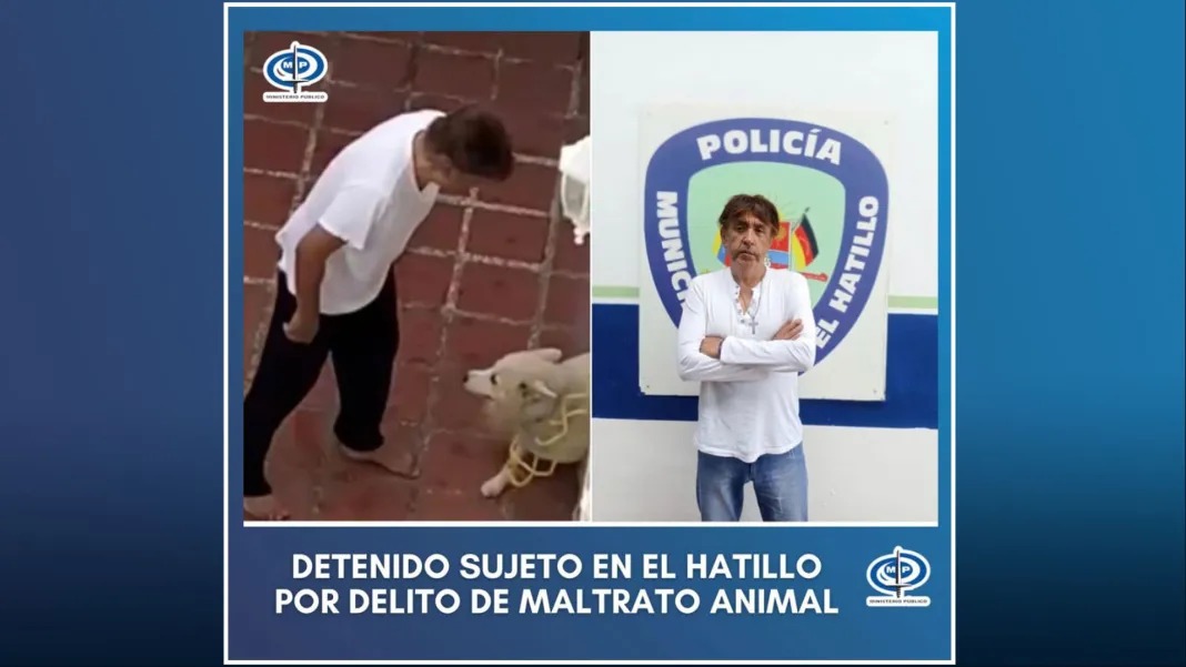 MP imputará a un hombre por el delito de zoofilia