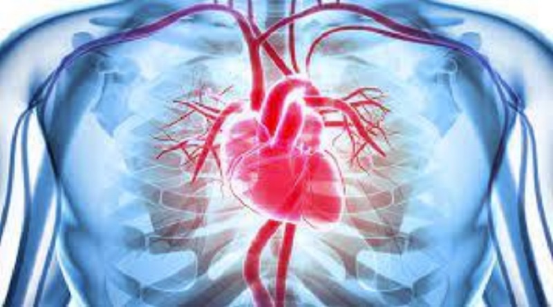 Enfermedades cardiovasculares pueden afectar a quienes padezcan de depresión