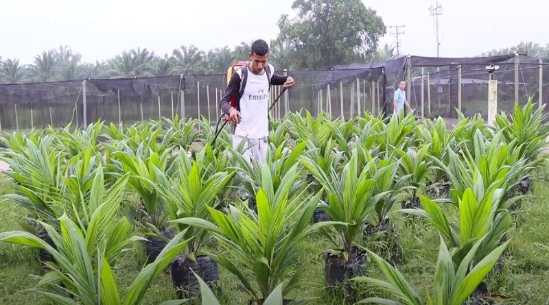 Reapertura de frontera con Colombia busca reimpulsar la economía de ambas naciones