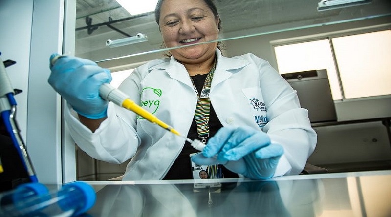 Desarrollan biosurfactante para saneamiento ambiental en suelos y aguas