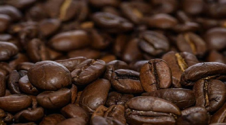 Feria Barquisimeto Huele a Café se lleva a cabo desde este 23 al 25 de marzo