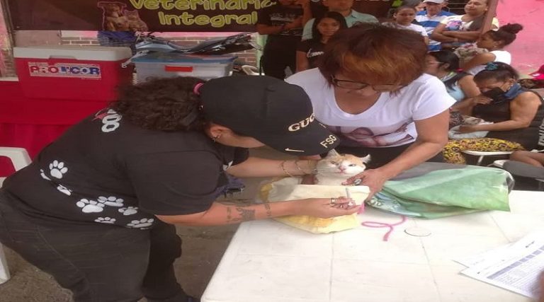 Misión Nevado atiende a más de 400 mascotas en jornada veterinaria de Caracas
