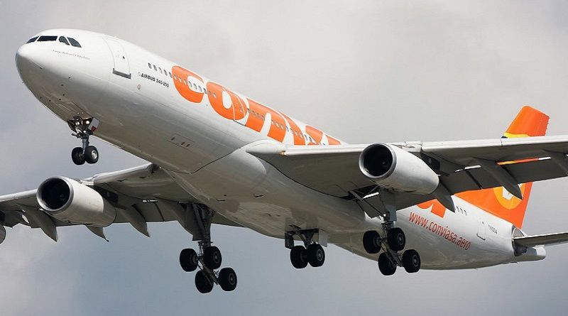 ¡Buenas noticias! CONVIASA permite viajar ahora con tus perritos (+ Requisitos)