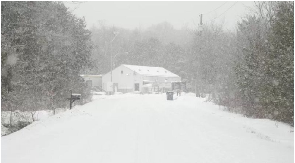 “El fin del sueño americano”: ¿Por qué cada vez más migrantes en EE.UU. cruzan a Canadá en busca de asilo?