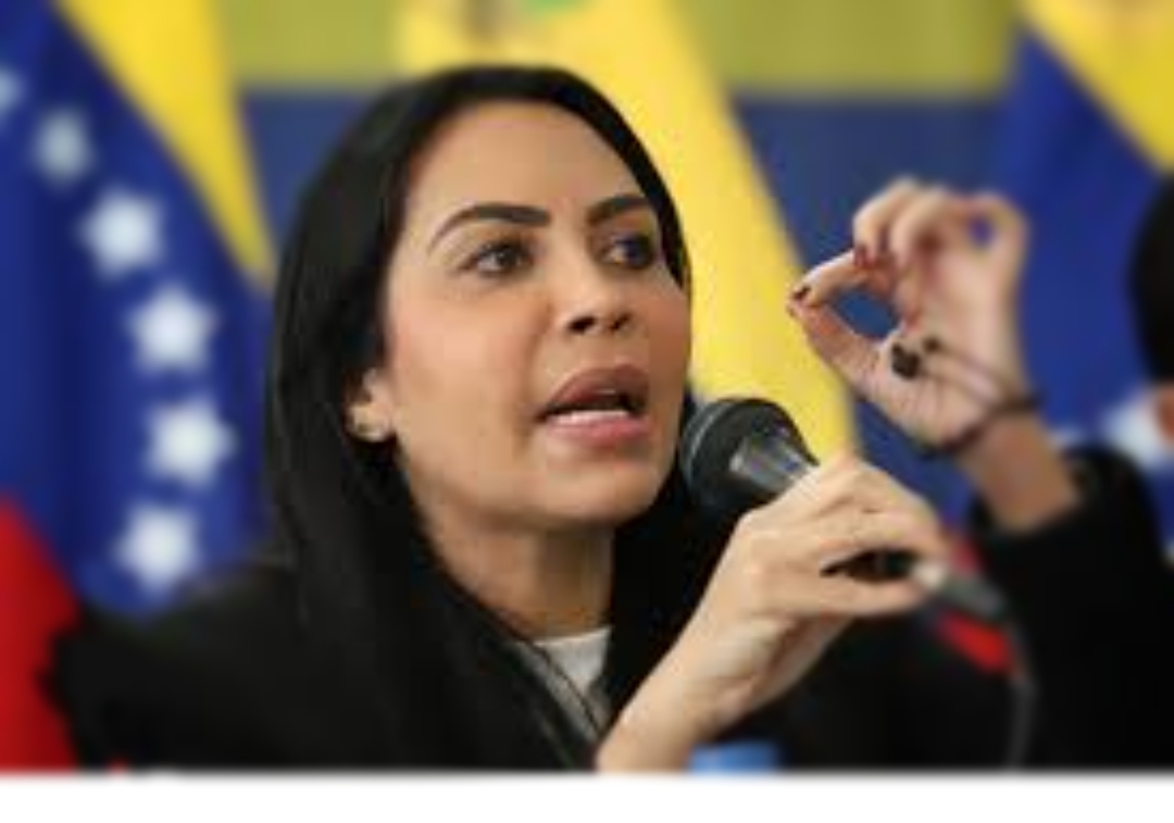 Delsa Solórzano candidata para las primarias de oposición, explicó que su organización promueve la transparencia