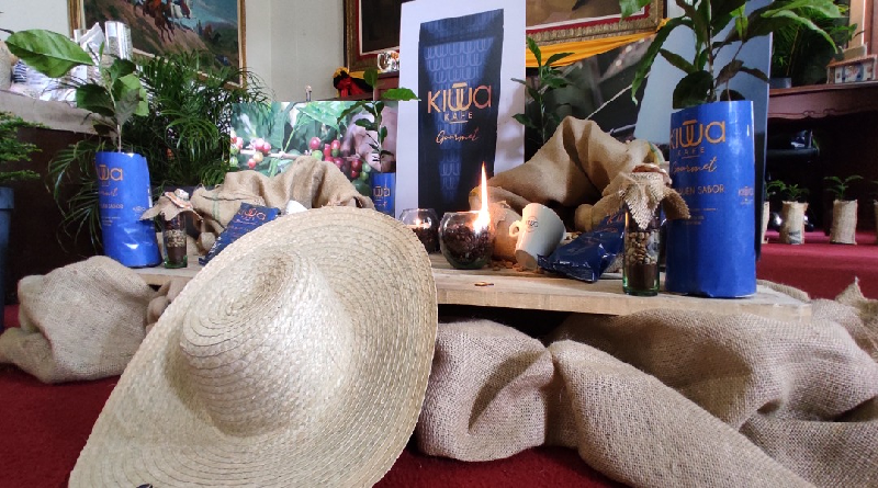 Brindan apoyo a productores para sembrar 10 millones de plantas de café en Táchira