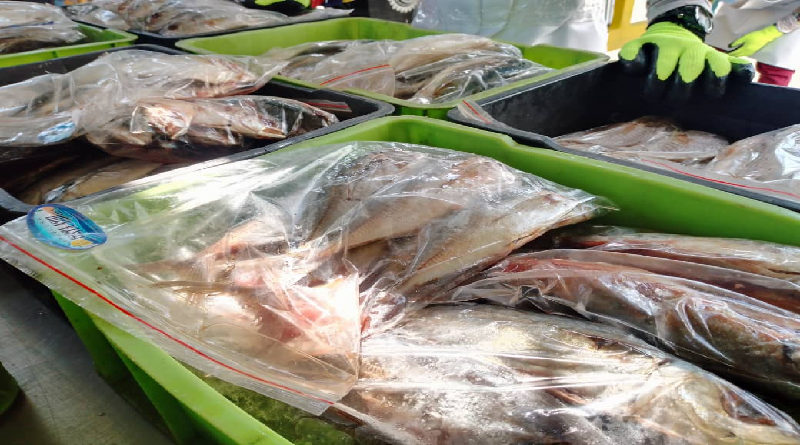 Operación Venezuela come Pescado entregó proteína del mar a más de mil familias de Falcón