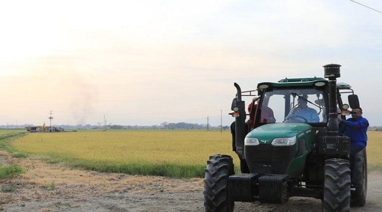 Nicolás Maduro anunció que la Gran Misión AgroVenezuela avanza en el crecimiento de la producción nacional