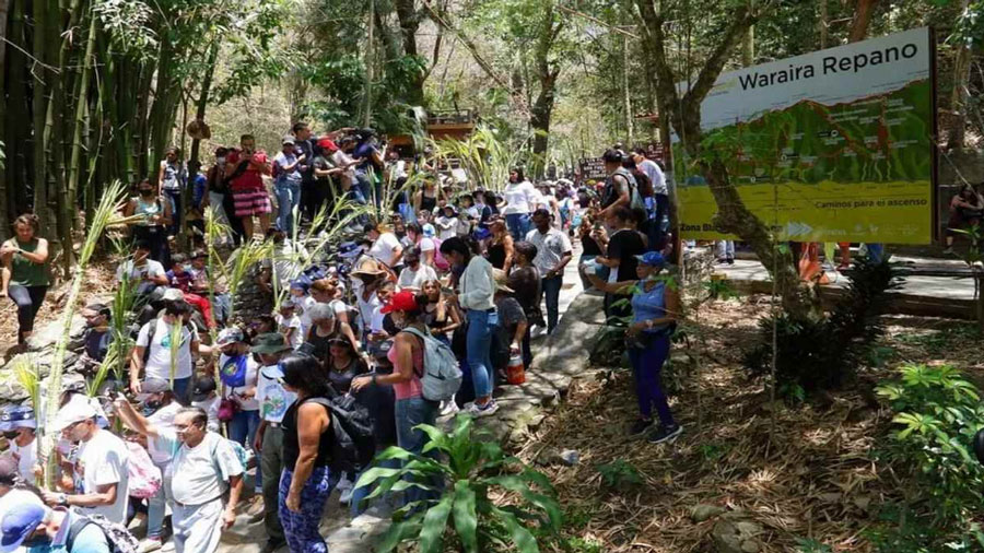 Palmeros de Chacao bajarán el 01 de abril por Sabas Nieves