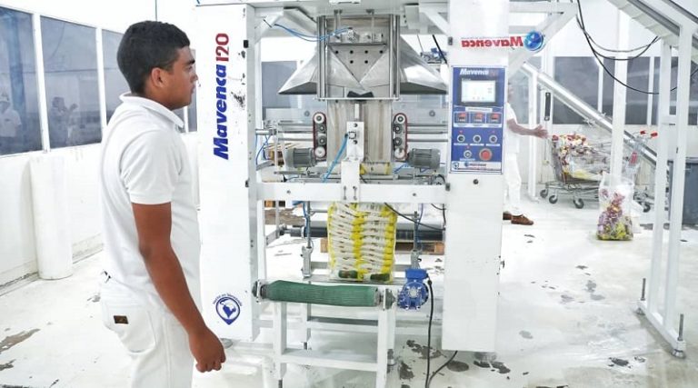 Ampliarán capacidad industrial de procesado de harina de maíz precocida en Guárico