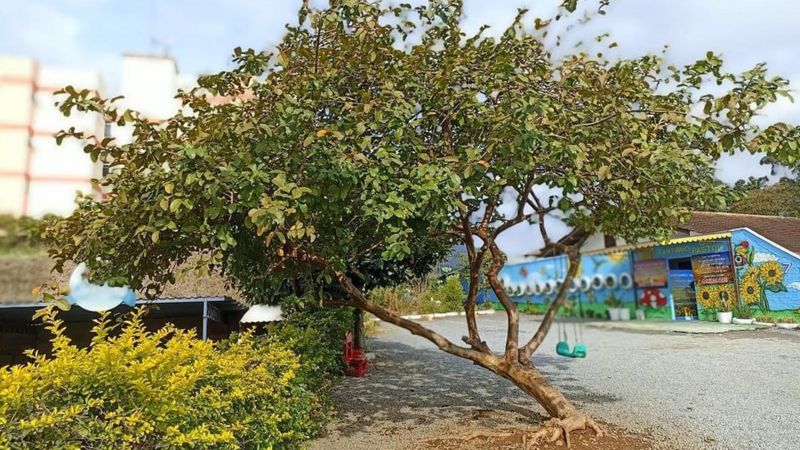 En Brasil un hombre mató a 4 niños con un hacha en un ataque a una guardería