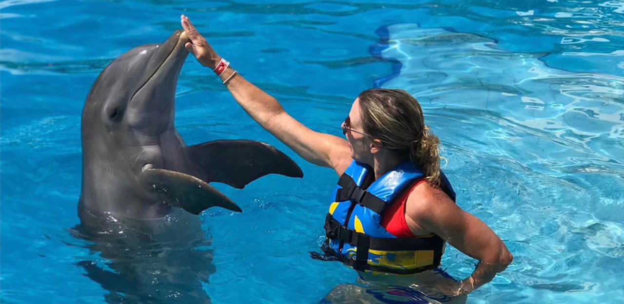 ¡Nado con Delfines! Una de las más bonitas atracciones en la Isla de Margarita para disfrutar en familia