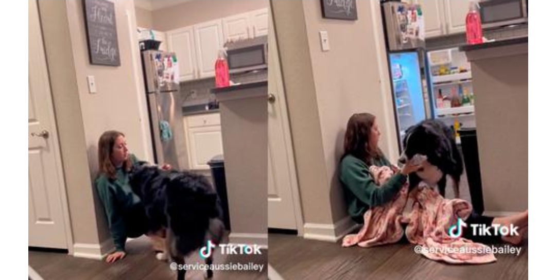 Perrito socorre a su dueña al verla sufrir por una taquicardia: “Él es mi héroe”