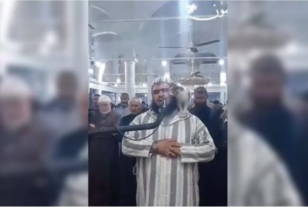 Siguió como si nada|Gato escaló sorpresivamente por la ropa de un orador durante el Ramadán