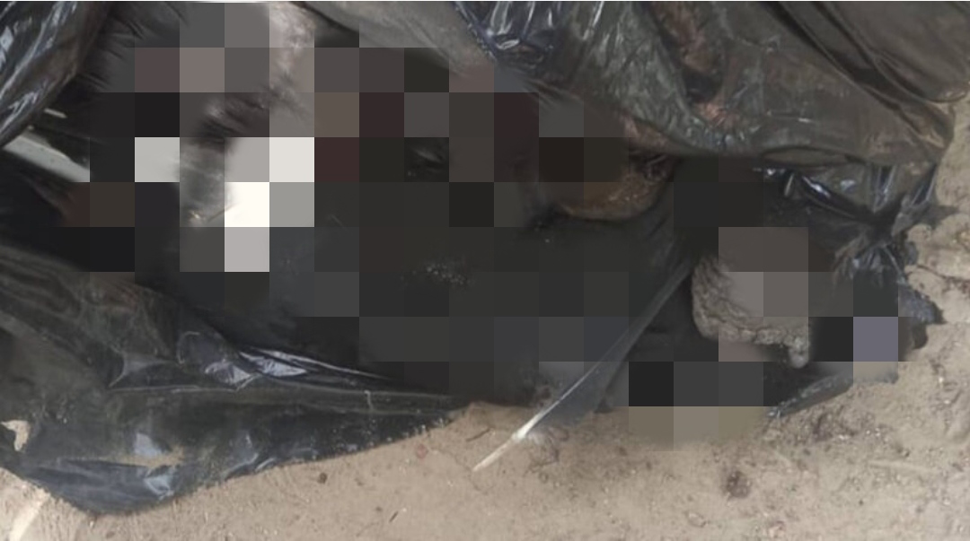 ¡En extrañas circunstancias! Reportaron muerte de varios zamuros en el Parque del Este en Caracas