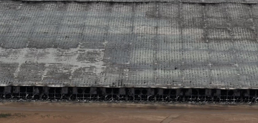 ¡Impactante! Murieron 18 mil vacas en una explosión de granja lechera