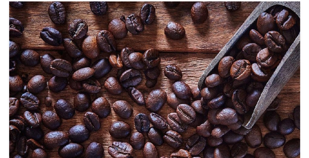 Caficultores de Yaracuy participarán en el II Encuentro Internacional del Café de Especialidad