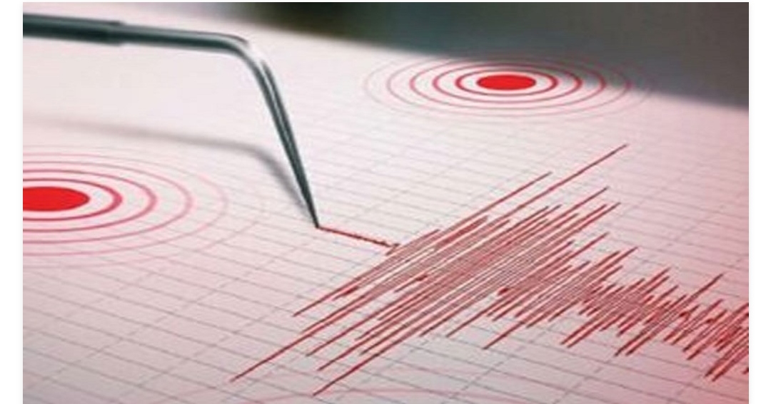 Terremoto de magnitud 7.3 sacudió el territorio de Nueva Zelanda