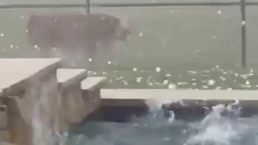 Una tormenta de granizo gigante golpeó a zonas de Florida y Texas