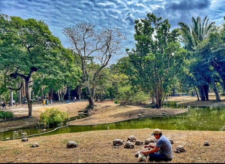 ¡Historias que debemos multiplicar! Ismael López, siempre está por el Lago Guinand, alimenta a los morrocoyes y su trabajo es voluntario