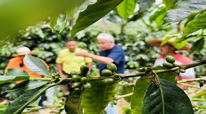 Banca de Holanda oficia plan para certificar unidades captadoras de carbón en Mérida