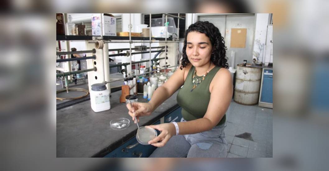 ¡Con cáscara de camarones! Científicos venezolanos crearon gel cicatrizante para pacientes con movilidad reducida