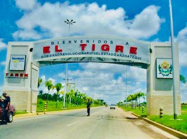 Opinión|Tigre es Tigre