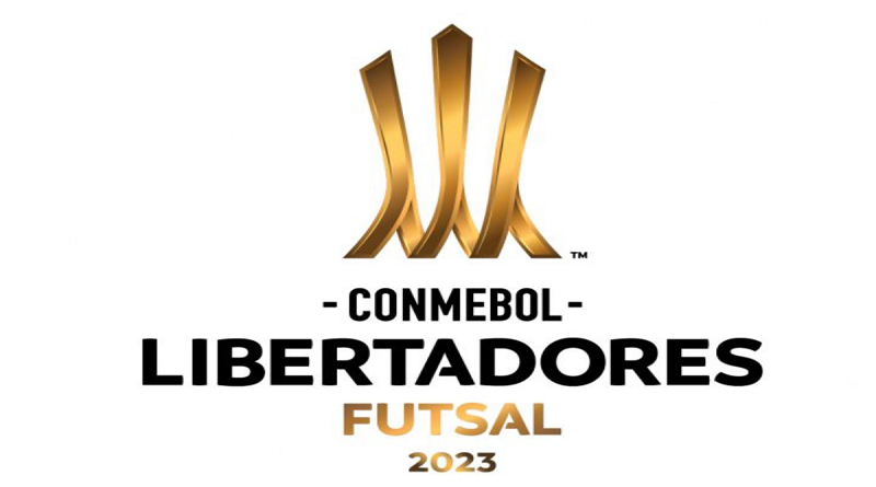 Arribaron a Venezuela delegaciones internacionales que participarán en la Conmebol