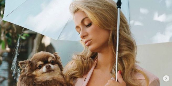 Paris Hilton lamentó la muerte de su chihuahua