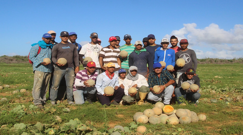 Productores desarrollan Plan Económico Integral Comunitario en Falcón
