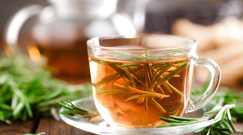 Conoce | Estos son los beneficios de consumir té de romero