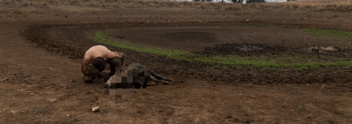 La sequía empuja a muchos animales a una hecatombe: «Ven alterado su ciclo biológico»