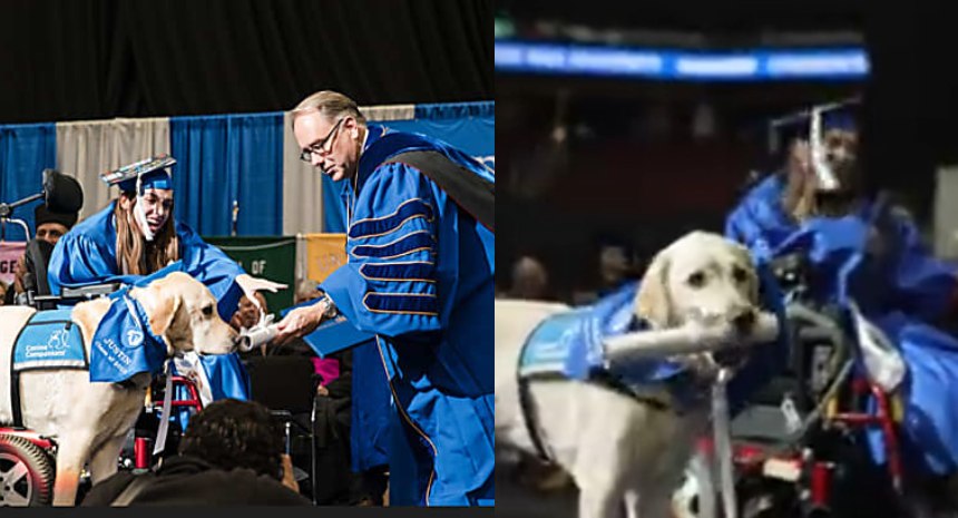 ¡De impacto! Perro recibió diploma universitario por acompañar a su dueña a clases