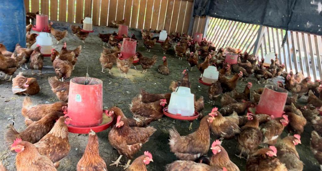 FANB se mantiene desplegada con la Operación Autana 2023