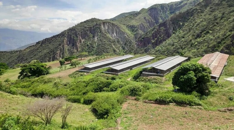 Avanza producción agrícola en el estado Mérida