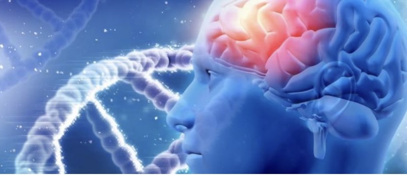 Dispositivo biohíbrido, la tecnología que podría devolver la movilidad a miembros paralizados