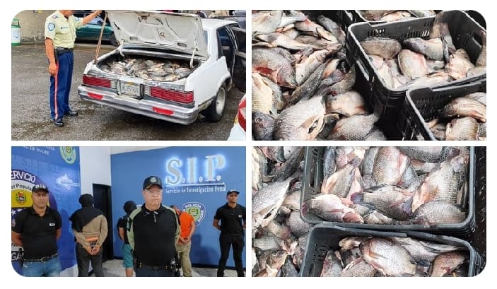 PoliSucre detuvo a tres sujetos que intentaban comercializar 800kg de pescado podrido en Petare